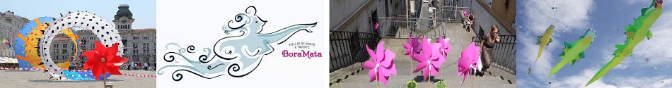 bora.jpg